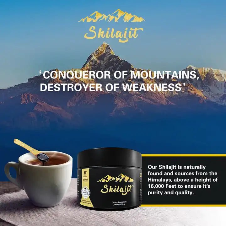 Pure 100% Himalayan Shilajit Resin 30 Gram Jar 60 Servings - My Store